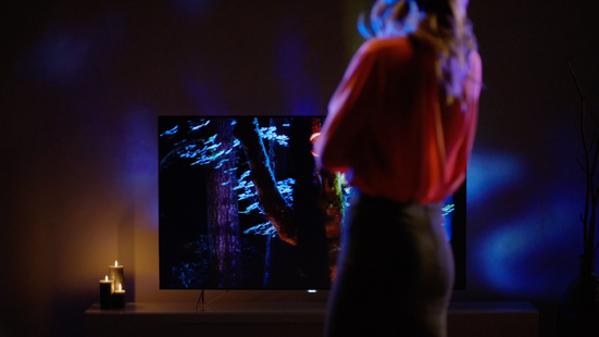 Philips TV - In Every Detail.